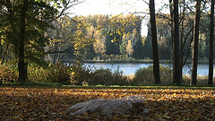 Pesa by Manuela Barile