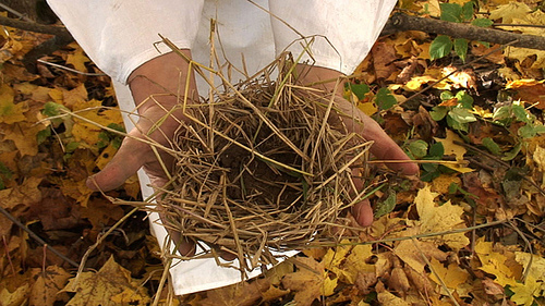 Pesa by Manuela Barile