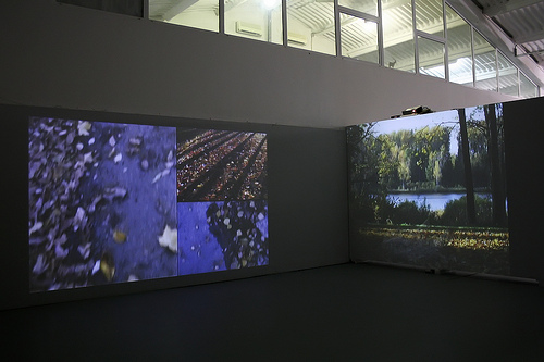 Pesa by Manuela Barile