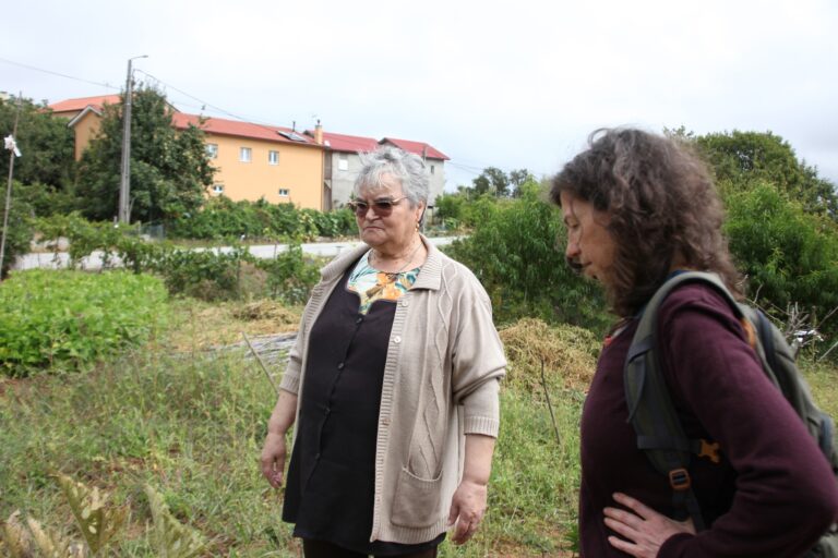 306165846_467096018790089_4941108354996939126_n