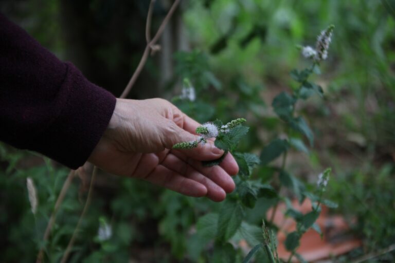 306274472_467096082123416_3329396723291550458_n