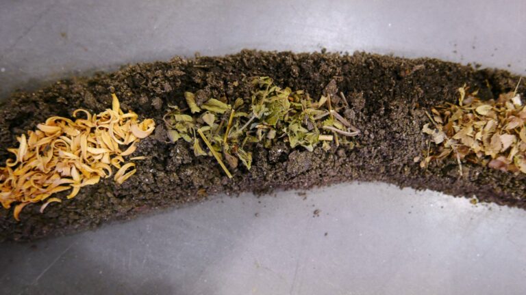 76706900_2647359641977448_8805327712995508224_n