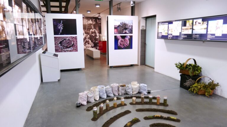 78830112_2647359905310755_5679612649982132224_n